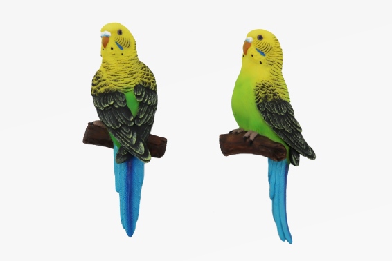 Poly magnet budgie 2 assorted (12)