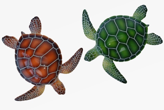 Poly magnet sea turtle 2 assorted (12) Poly magnet sea turtle 2 assorted (12)