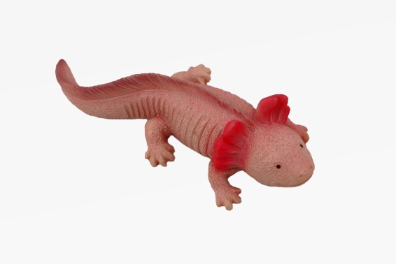 Poly Axolotl Länge 7,8 cm (12)