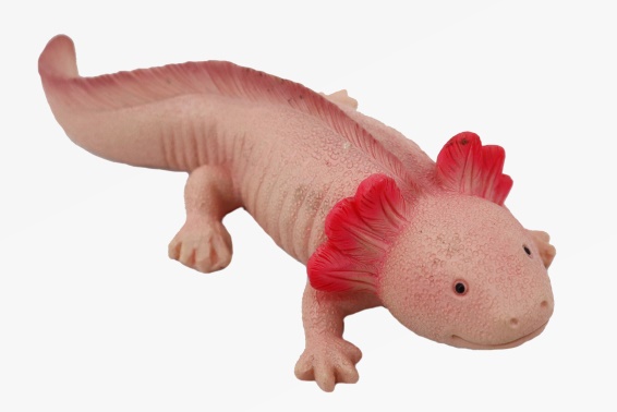 Poly Axolotl Länge 14,5 cm (6)