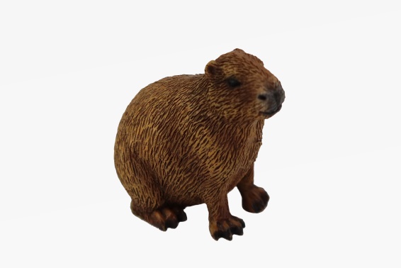 Poly Capybara Länge 6 cm (12)