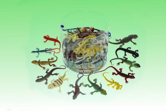 Stretch lizard 12 assorted (60)
