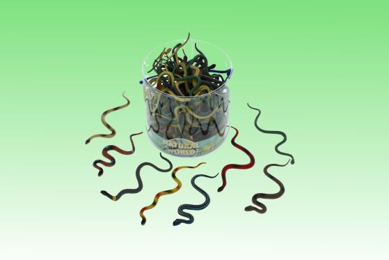 PVC snake 8 assorted (72)