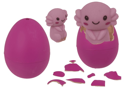 Growing axolotl in egg height 6 cm (12)