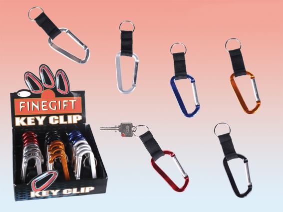 Metal pendant carabiner 6 asst. (24)